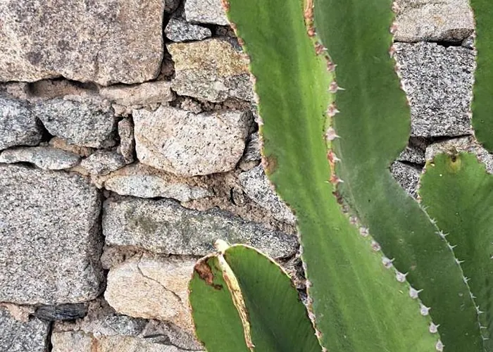 Anixi - Primavera Mykonos Apartment Ornos (Mykonos)
