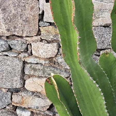 Anixi - Primavera Mykonos Apartman Ornósz